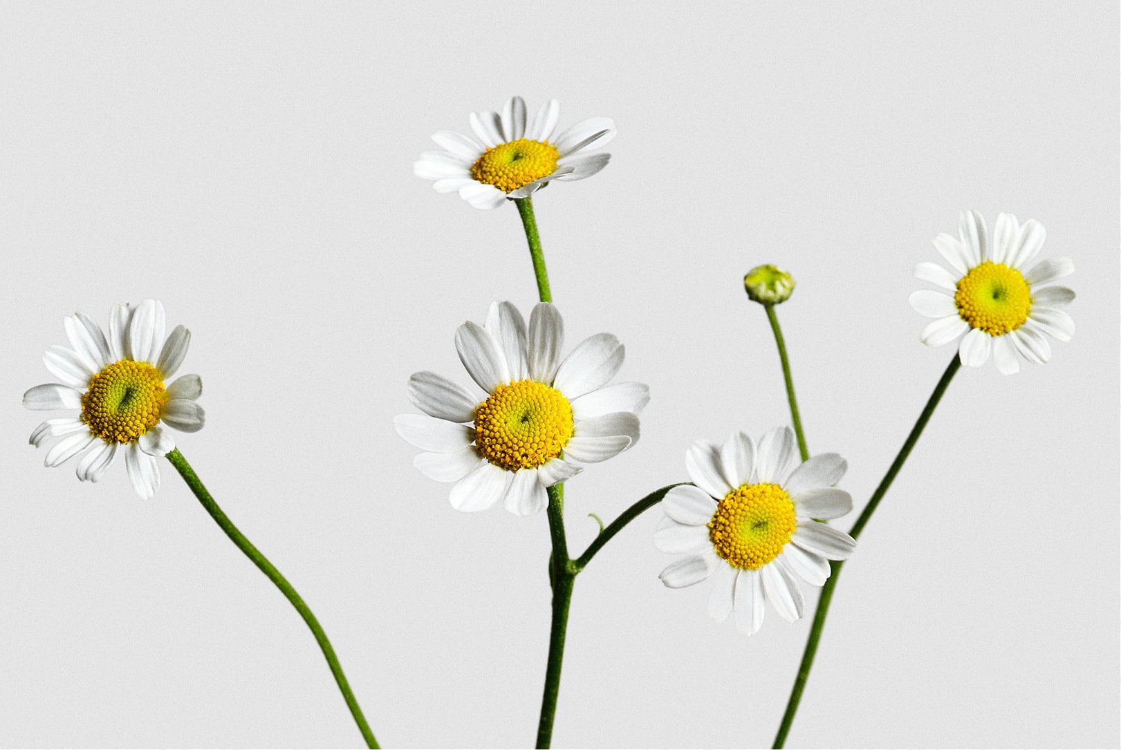 WHAT DOES CLEAN BEAUTY MEAN?